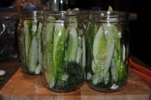 Fill jars with cucumbers.